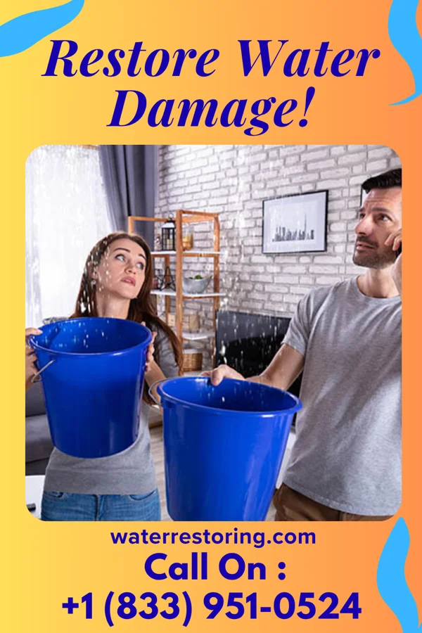 water restoration Citywide Mitigation LLC Woodland