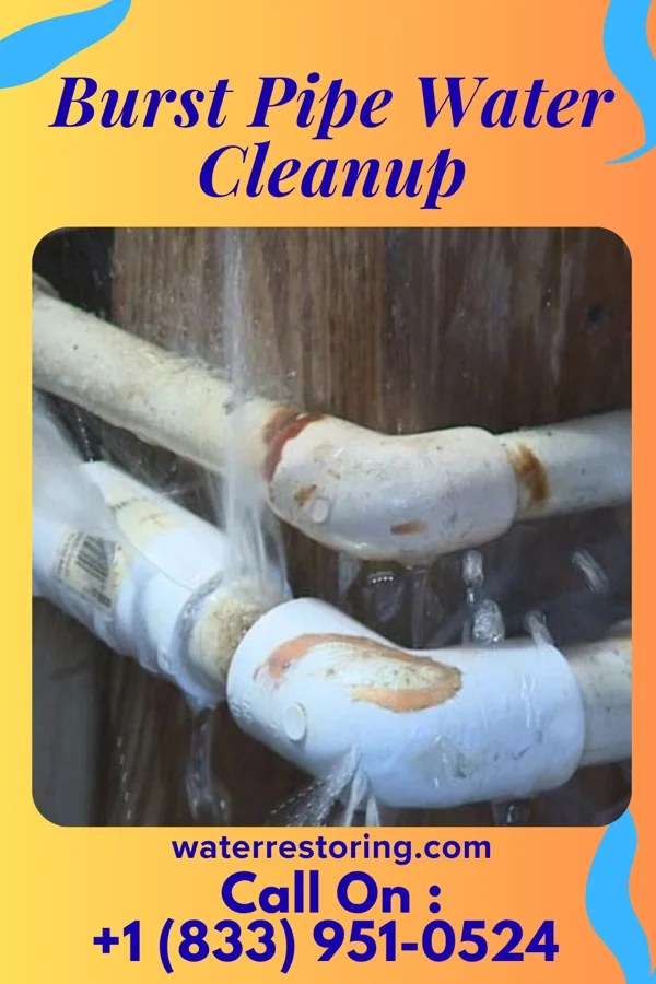 Burst Pipe Water Cleanup in Woodland, MD