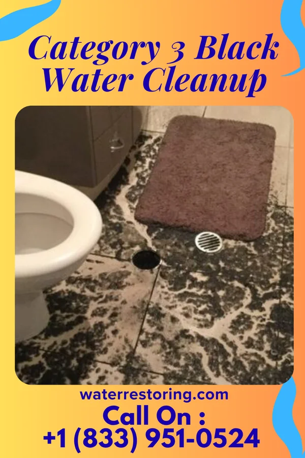 Category 3 Black Water Cleanup in Woodland, MD