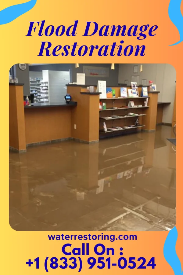 Flood Damage Restoration in Woodland, MD