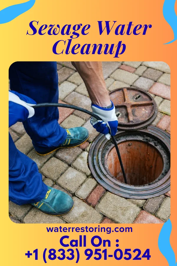 Sewage Water Cleanup in Woodland, MD